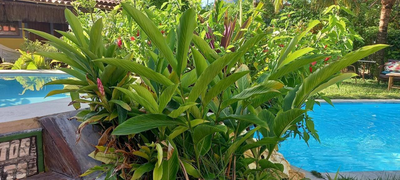 Pousada Vila Mato Verde Morro de São Paulo Εξωτερικό φωτογραφία