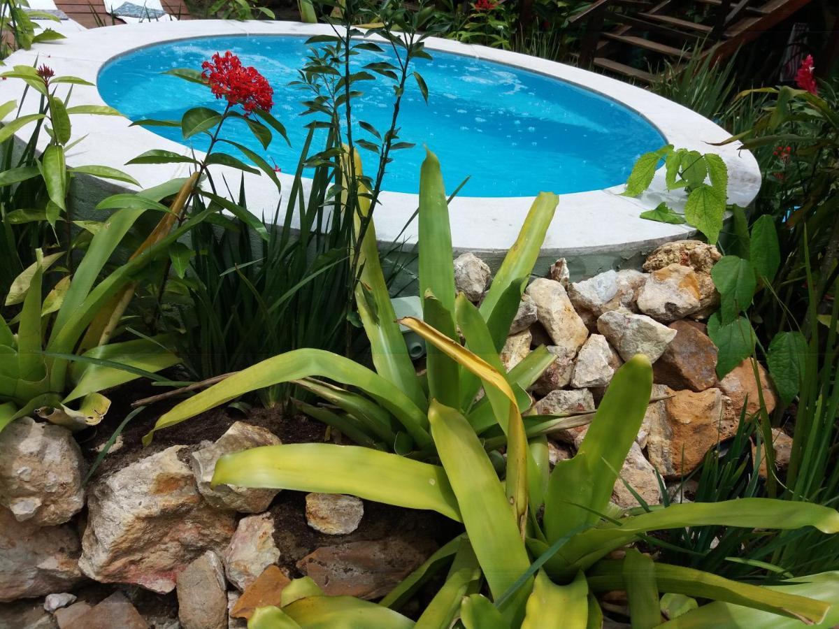 Pousada Vila Mato Verde Morro de São Paulo Εξωτερικό φωτογραφία